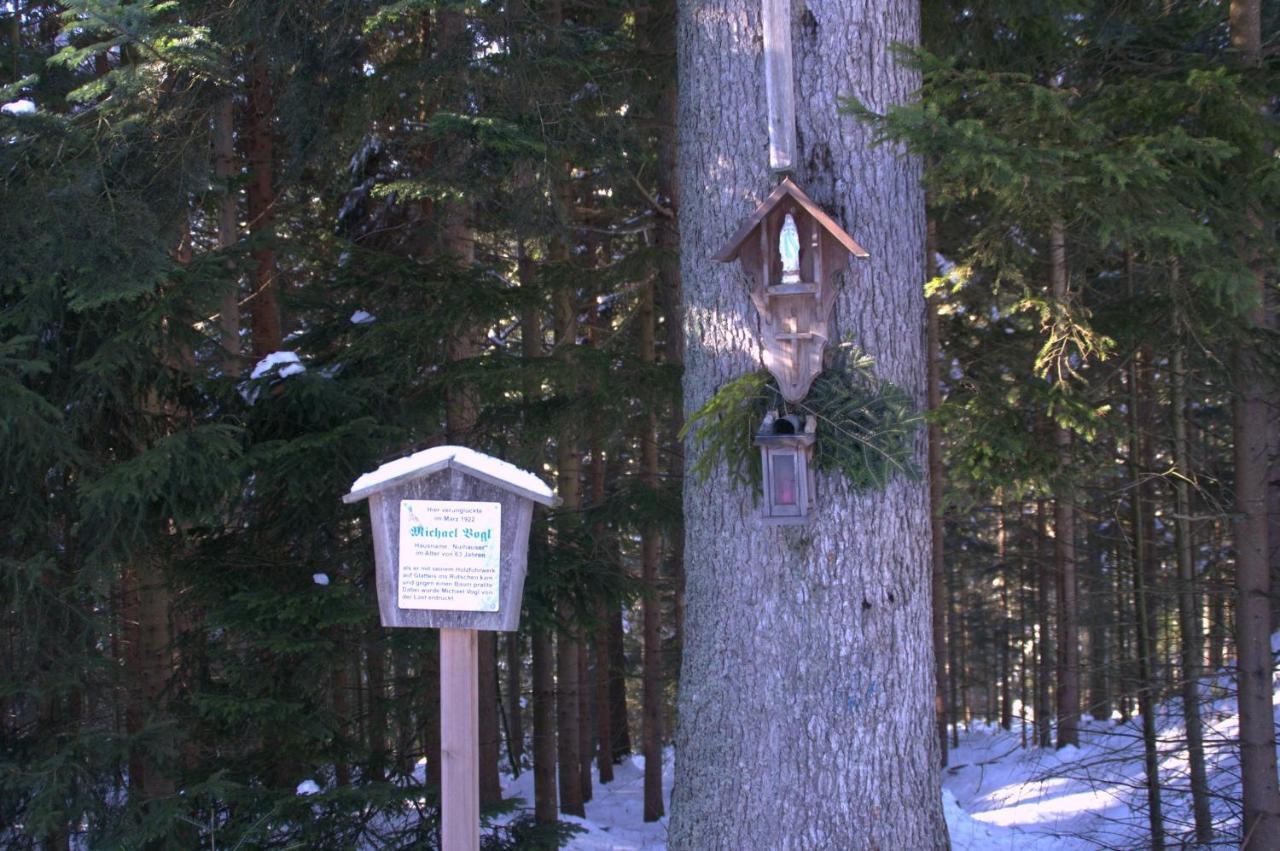 Erlebnispension Zum Wanderer Sepp Arnbruck Bagian luar foto
